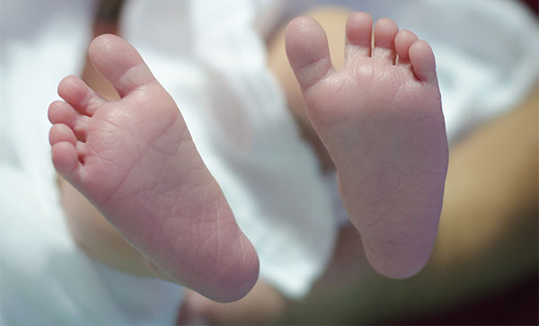 Ӥ�������ʲôʱ�� Ӥ������ǲ�ʲô